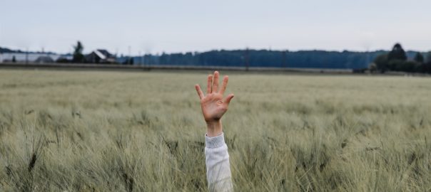 Hand up in tall grass